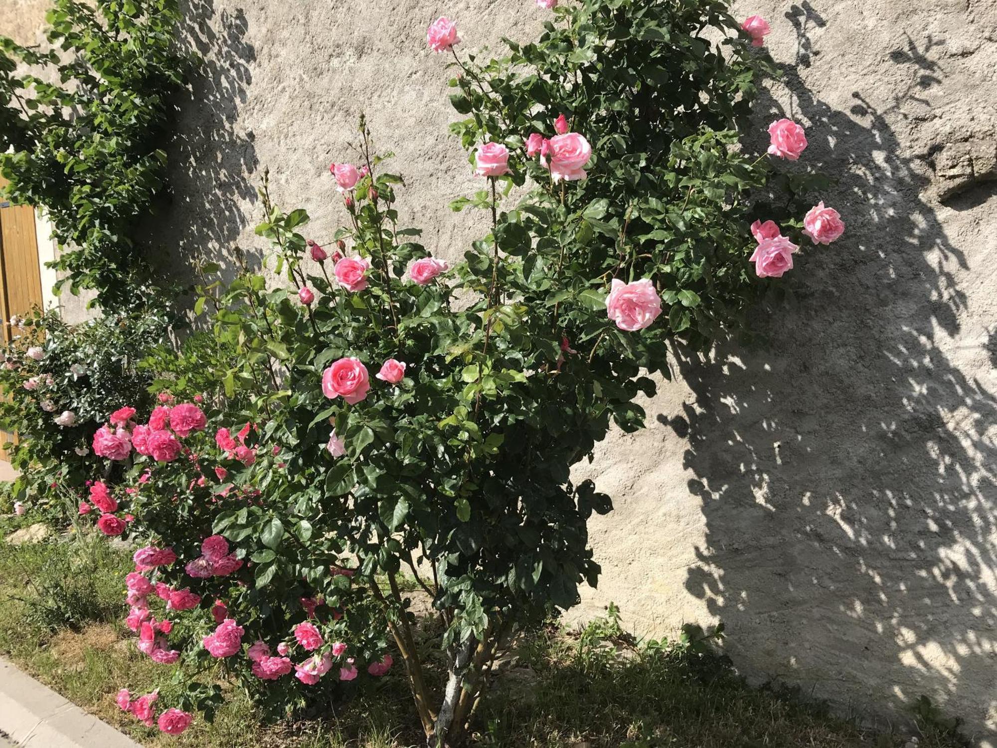 Gite Renove Avec Jardin, Proche Loisirs Et Commerces, A Une Heure De Nancy Et Metz - Fr-1-584-168 Autrepierre Exteriér fotografie